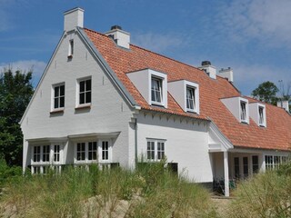 Ferienhaus Dishoek Außenaufnahme 1