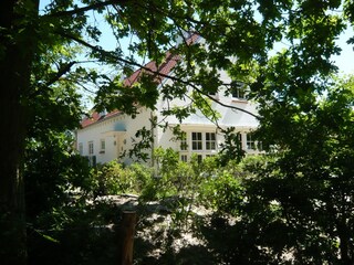 Ferienhaus Dishoek Außenaufnahme 26