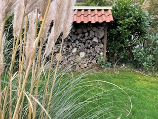Ferienhaus Dishoek Außenaufnahme 10