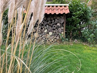 Holiday house Dishoek Outdoor Recording 10