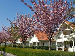 Ferienhaus VZ982 Vrijstaand vakantiehuis in Oostkapelle