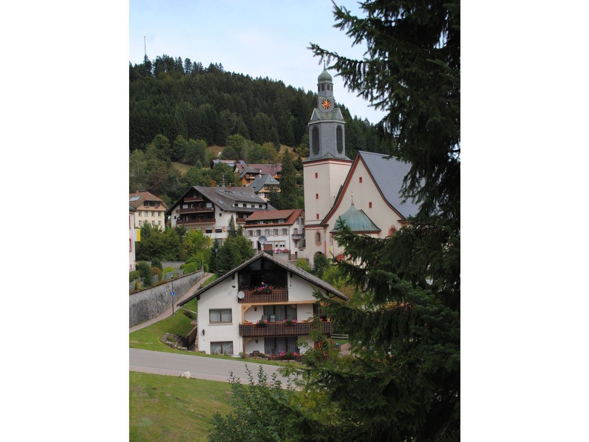 Blick aus dem Wohnzimmerfenster (Sommer)