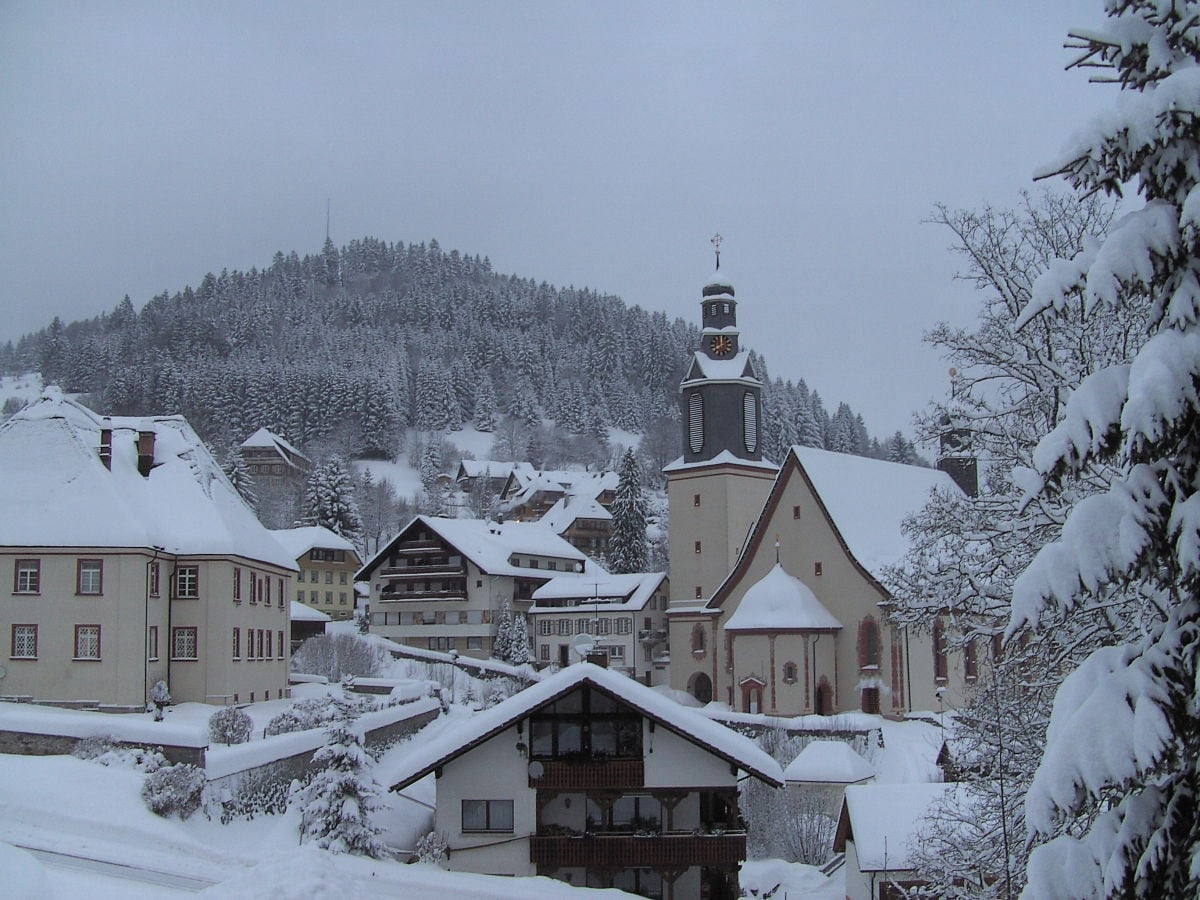 Blick aus Wohnzimmerfenster (Winter)