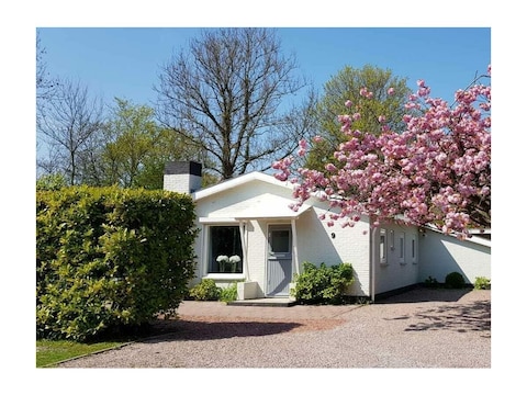 Ferienhaus VZ984 Vakantiebungalow in Oostkapelle