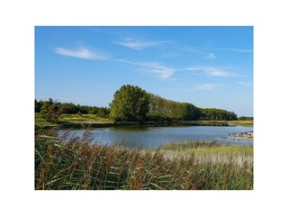 Chalet Sint-Maartensdijk Outdoor Recording 27