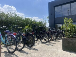 Chalet Sint-Maartensdijk Outdoor Recording 34