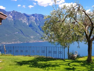 Apartment Tremosine sul Garda Environment 40
