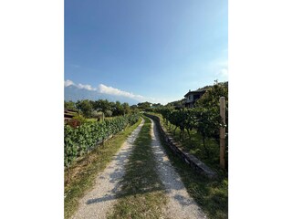 Apartment Tremosine sul Garda Außenaufnahme 4