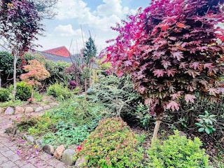 Holiday house Bording Outdoor Recording 4
