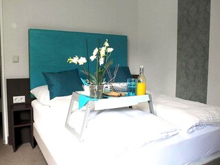 Hotel Bendorf am Rhein Caratteristiche 8