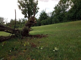 Apartamento Bendorf am Rhein Entorno 16