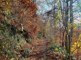 Appartamento Bendorf am Rhein Ambiente 21