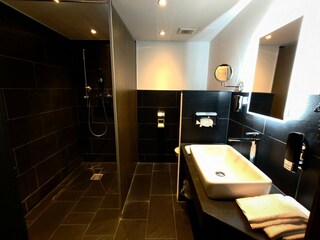Hotel Bendorf am Rhein Caratteristiche 12