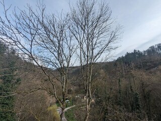 Appartamento Bendorf am Rhein Ambiente 18