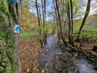 Appartamento Bendorf am Rhein Ambiente 22