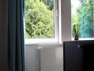 Hotel Bendorf am Rhein Características 13