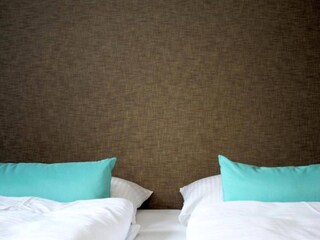 Hotel Bendorf am Rhein Características 14