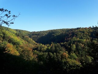 Appartement Bendorf am Rhein Environnement 27
