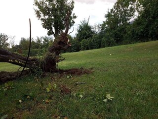 Apartment Bendorf am Rhein Umgebung 21