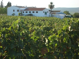 Casa de campo Moriles Grabación al aire libre 2