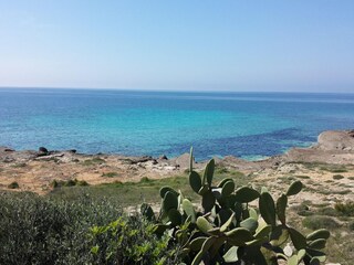 Appartamento Torre Suda Ambiente 24