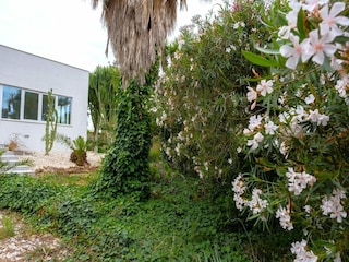 Ferienhaus Mazara del Vallo Außenaufnahme 3