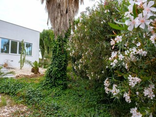 Maison de vacances Mazara del Vallo Enregistrement extérieur 6