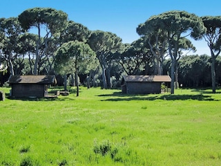 Vakantiepark Marina di Grosseto Buitenaudio-opname 16