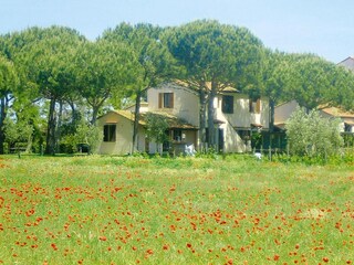 Parc de vacances Marina di Grosseto Enregistrement extérieur 4