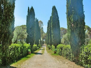 Parc de vacances Marina di Grosseto Enregistrement extérieur 5