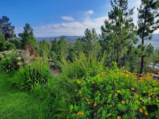 Casa de campo Paialvo Entorno 30