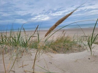 Maison de vacances Hirtshals  13