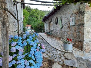 Parque de vacaciones Ičići Grabación al aire libre 17