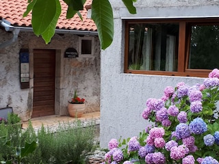 Parque de vacaciones Ičići Grabación al aire libre 19