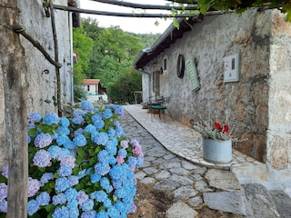 Ferienpark Ičići Außenaufnahme 21