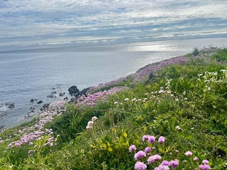 Maison de vacances Le Conquet Environnement 18
