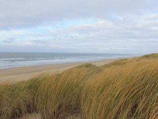 Bungalow Julianadorp Umgebung 12