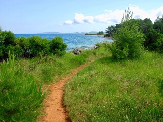 Appartamento per vacanze Nerezine Ambiente 24