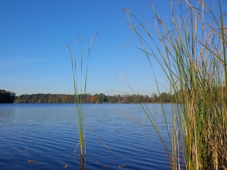 Holiday house Kleinmachnow Environment 11