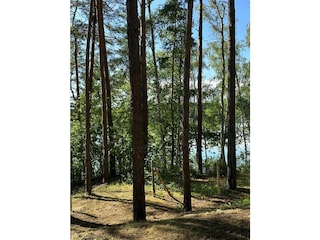 Holiday house Kleinmachnow Environment 11