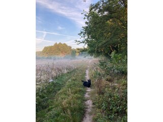 Ferienhaus Kleinmachnow Umgebung 14