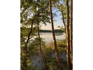 Holiday house Kleinmachnow Environment 15