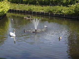 Casa per le vacanze Ouddorp Ambiente 20