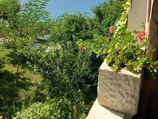 Apartment Supetarska Draga  15