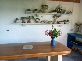 Appartement Supetarska Draga Kenmerken 4