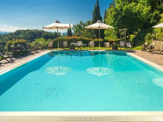 Ferienhaus Figline Valdarno Außenaufnahme 11