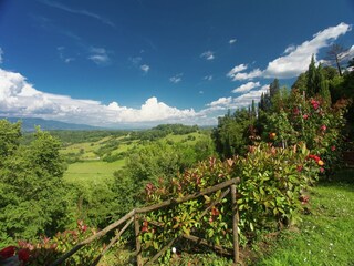 Vakantiehuis Figline Valdarno Buitenaudio-opname 6