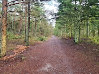 Casa de vacaciones Aalbæk  24