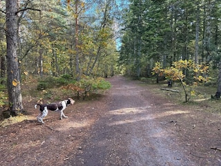 Casa de vacaciones Aalbæk  33