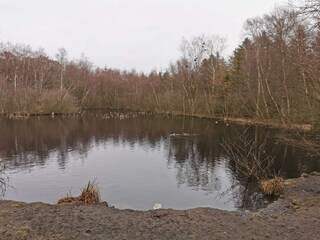 Vakantiehuis Aalbæk  8